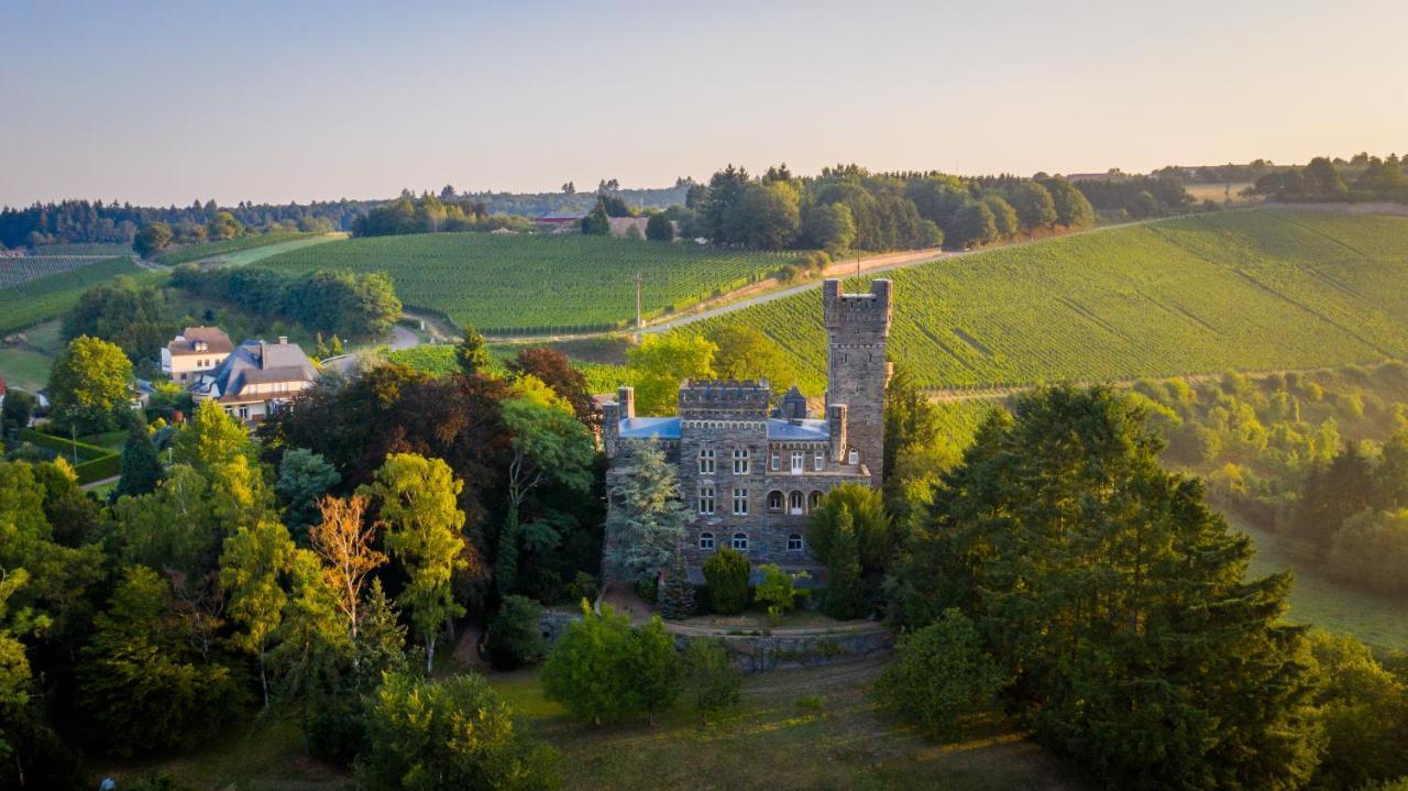 Вилла Saar Castle - Cozy Mansion Near Vineyard Serrig Экстерьер фото