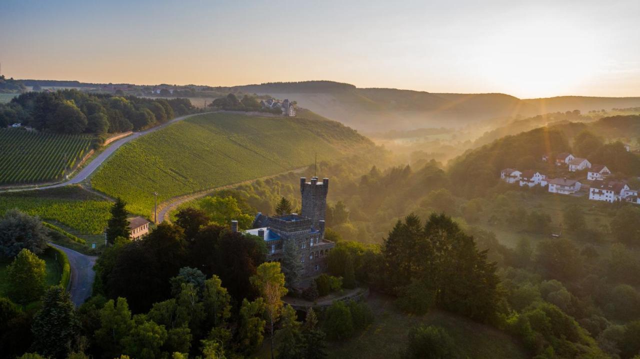 Вилла Saar Castle - Cozy Mansion Near Vineyard Serrig Экстерьер фото